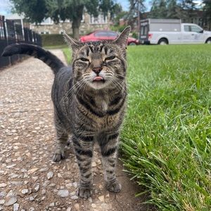 Meet your Posher, Michael